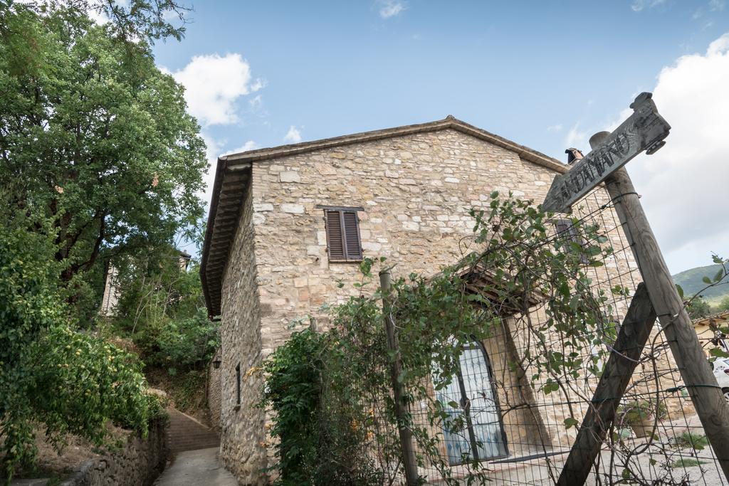 B&B Cantico Delle Creature Assisi Exteriér fotografie