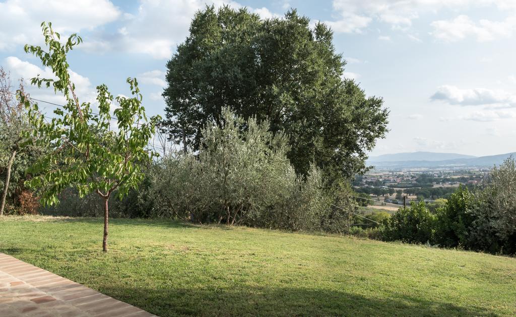 B&B Cantico Delle Creature Assisi Exteriér fotografie
